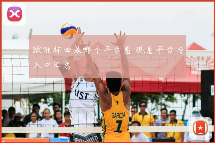 欧洲杯回放哪个平台看 观看平台与入口汇总