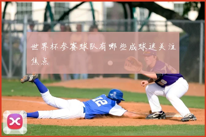 世界杯参赛球队有哪些成球迷关注焦点