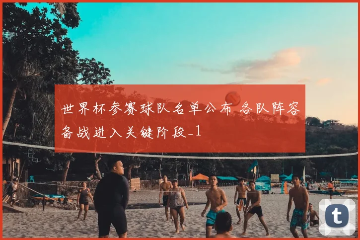 世界杯参赛球队名单公布 各队阵容备战进入关键阶段_1