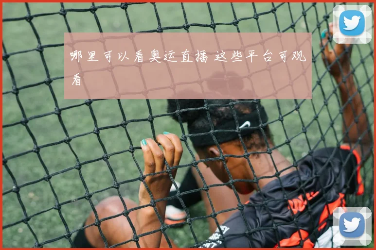 哪里可以看奥运直播 这些平台可观看
