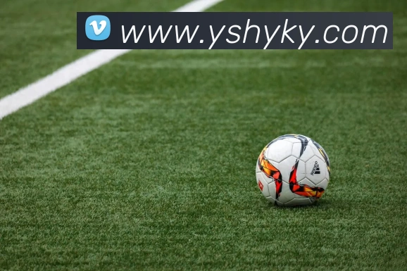 世界杯官网线上平台平台生态图